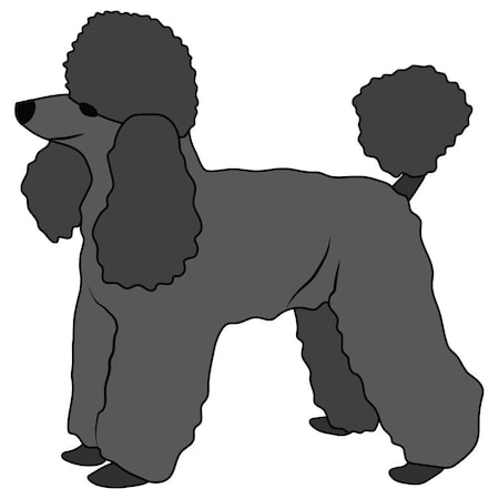 Signmission Toy Poodle Dog Decal, Dog Lover Decor Vinyl Sticker D-12-Toy Poodle